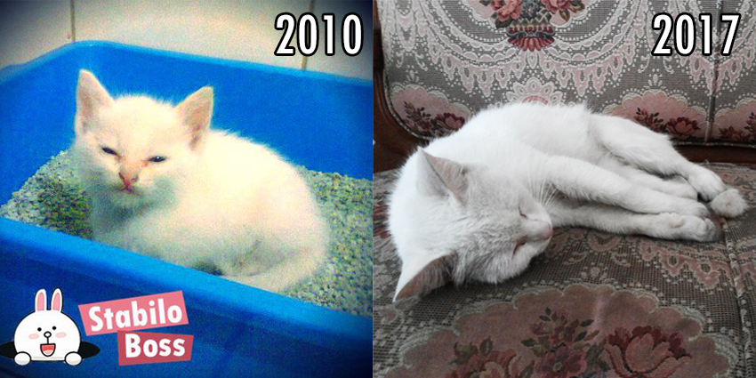 Bilo then and now